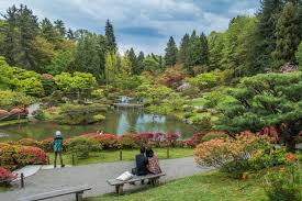 Seattle Japanese Garden Seattle Japanese Gan Seattle Japanese Gan Is 3 5 Acre Urban Sanctuary Windin Japanese Garden Seattle Japanese Garden Garden Waterfall