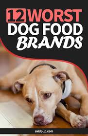 Wet food vs dry food: 12 Worst Dog Food Brands To Avoid This Year Dogfood Dogfoods Worstdogfood Dognutrition Doghealth Dogfe Dog Food Brands Dog Food Recipes Best Dry Dog Food