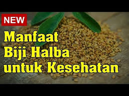 Selain itu, terdapat beberapa area tubuh yang lebih rentan mengalami keloid, yaitu pundak, lengan atas, punggung atas, dada bagian tengah, telinga, serta leher bagian belakang. Manfaat Biji Halba Untuk Kesehatan Youtube