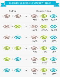 Calculadora Cor Dos Olhos Do Bebe El Color De Ojos De Tu Bebe Color De Ojos Ojos Colores