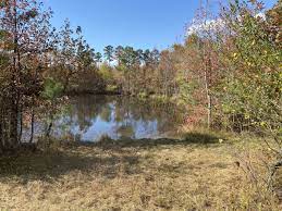 Bismarck Arkansas 210 000 60 00 Acres Wow Beautiful 60 Acres With Spring Fed Pond Near Hot Springs A In 2021 Hot Springs Arkansas Tennessee Land Arkansas Land