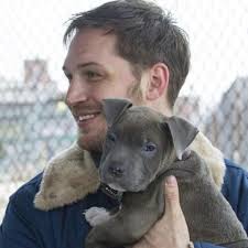 Tom Hardy with puppy Blue 💙 Cute