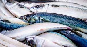 Akan tetapi, ada beberapa pilihan obat psoriasis yang memicu gatal pada lipatan kulit, misalnya selangkangan, disebut juga dengan psoriasis inversa. Ternyata Ini Bedanya Alergi Ikan Dan Seafood Popmama Com