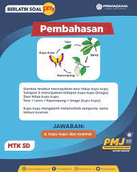 Soal dan pembahasan osk osp osn sd ipa tahun 2019 pdf website tempat download soal dan pembahasan kunci jawaban. Primagama Id Pembahasan Untuk Soal Latihan Pmj Kemaren Facebook