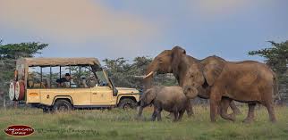 Easily compare offers from 3,553 specialized tour operators. Safari Essentials Kenya Packing List Gamewatchers Safaris