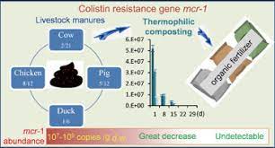 Elimination Of The Risks Of Colistin Resistance Gene Mcr 1 In Livestock Manure During Composting Sciencedirect