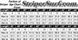 Scottsbt Com Tacklebox Tips