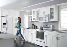 Best kitchen cabinet colors with white appliances design stylish kitchens with white appliances they do exist 11 Kitchen Appliance Trends That You Can T Miss In 2021 Home Remodeling Contractors Sebring Design Build