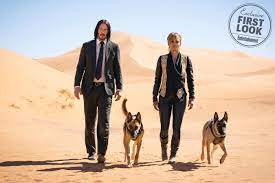 'she's a remarkable person and. John Wick 3 Halle Berry S Dogs Will Get A Piece Of The Action Movie Paws