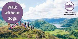 Borrowdale River & Caves [Seatoller] (Dog Free) - National Park Guided Walk