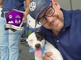 Carnaval Canino de...