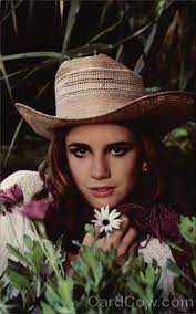 Melissa Gilbert Melissa Gilbert Hollywood Actor Celebrities