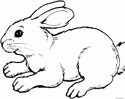 Le lapin a tout pour lui, de grandes oreilles, un petit museau plein de moustaches, de grands yeux bonne lecture et surtout, bon dessin :) anatomie du lapin. Coloriage Lapin Realiste Dessin Lapin A Imprimer