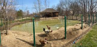 Sunt coduri postale care nu au firme si deasemenea un cod postal poate fi pentru mai multe strazi. La Mosie Bolovani Updated 2021 Prices Guest House Reviews Romania Tripadvisor