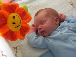 Tony, Stacey and Brayden Ross