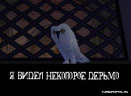 images?q=tbn:ANd9GcS-Sz7vA0rBUpt35kgGdvB1-EFmFJWs5ODksxbnP_m2Mb5YVQm9-7al_E23