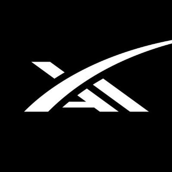 xAI API