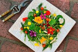 Edible flowers are available in specialty food stores, at farmer's markets, and right in your own garden. 15 Beautiful Edible Flowers To Brighten Your Dishes 31 Daily