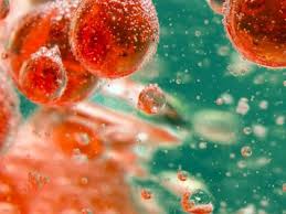 There are at least 80 types of autoimmune diseases. Astrazeneca Avverte Plausibile Sviluppo Malattia Autoimmune Database Italia