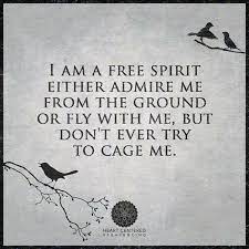 Sarah belle ✨ sarah balmer on instagram: Free Spirit Women Don T Ever Try To Cage Them Free Spirit Quotes Spirit Quotes Free Spirit