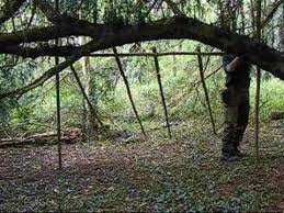 Learn How To Build A Survival Shelter For Short Or Long Term Use From Lean Tos To Log Cabins We V Wilderness Survival Skills Survival Skills Survival Shelter