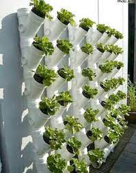Part 4 — accurately calculating heat, plus safety & sanitation tips. 53 Favourite Vertical Garden Design Ideas And Remodel The Expert Beautiful Ideas Vertical Garden Diy Vertical Garden Design Vertical Vegetable Gardens