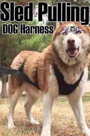 Weight Pulling Dog Harness Knk Dog Supplies Big Dog Harness Padded Strong Sturdy Weight Pulling Harness Vest Large Dogs In 2020 Big Dog Harness Dog Harness Dog Lovers