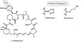 Image result for Sirolimus