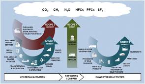 How To Calculate Your Company S Carbon Footprint Strategic Sustainability Consulting