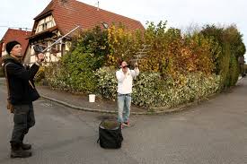 En Alsace, la traque ingénieuse des nids de frelons asiatiques -