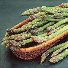 Image result for Asparagus buchananii