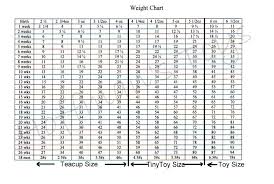 Poodle Size Weight Chart Poodle Growth Standard Poodle Puppy