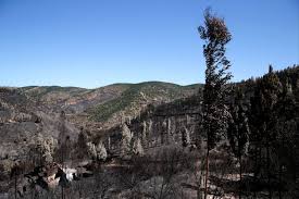 Jun 22, 2021 · a reconstrução do posto da gnr de mesão frio, afetado por um incêndio em novembro de 2019, vão custar 370 mil euros e o concurso público vai ser lançado em julho, disse hoje o presidente da. Ao Fim De Uma Semana Bombeiros Dominam Incendio De Monchique Atualidade Sapo 24