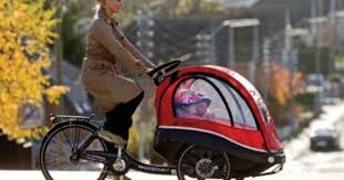 Kangaroo Luxe Winther Cargo Bike Family Bike Bicycle