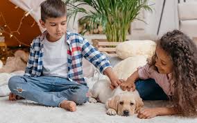 One in every eight children suffers from an anxiety disorder — and your child's behavior can tell you if he or she is one of them. 10 Best Pet Recommendations For Kids Childfun
