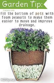 Pin On Garden Ideas