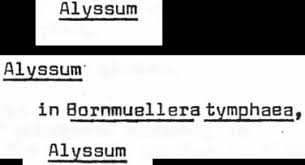 Image result for Trichopteryx elegantula