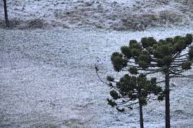 Informações sobre precipitação, umidade, vento, temperatura. Quinta Feira Amanhece Com Termometros Abaixo De Zero Na Serra De Sc Fotos Santa Catarina G1