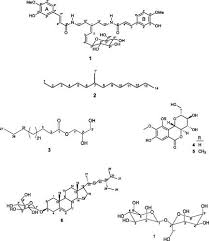 Image result for Anthonotha macrophylla