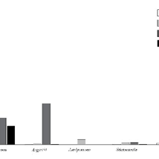 Image result for Astripomoea grantii