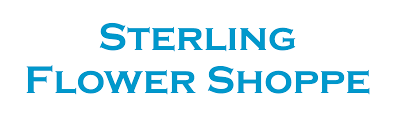 Visit your local illinois dollar tree location. Peoria Florist Flower Delivery By Sterling Flower Shoppe