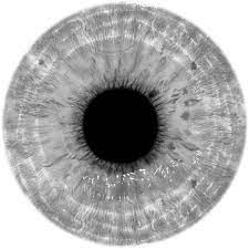 Trscr9 Png Liked On Polyvore Featuring Eyes And Dolls White Eyes Overlays Picsart Black Background Images