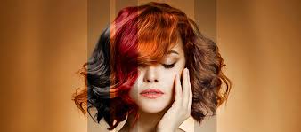 We all help each other. L Or Salon Hair Color And Highlights Rockville Md