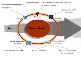 Do you remember tripping over as a kid and cutting your knee? Diagnostics Free Full Text Coagulation Profiles Of Pulmonary Arterial Hypertension Patients Assessed By Non Conventional Hemostatic Tests And Markers Of Platelet Activation And Endothelial Dysfunction