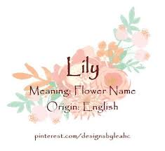 Baby Girl Name Lily Meaning Flower Name Origin English Naam