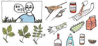 16 Home Remedies For Treating Poison Ivy, Oak & Sumac Rashes « The Secret  Yumiverse :: Wonderhowto