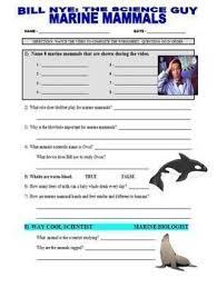Bill Nye The Science Guy Marine Mammals Video Worksheet Bill Guy Mamma Bill Nye The Science Guy Marine Mam Science Guy Marine Mammals Mammals