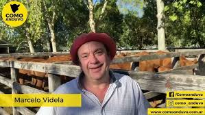 Marcelo Videla, martillero de Sivero y Cía. Saladillo 5/4/24.