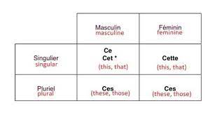 French Demonstrative Adjectives Adjectives Nouns Words