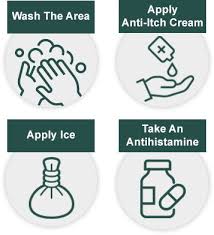 We did not find results for: The Dos And Don Ts Of Mosquito Bites